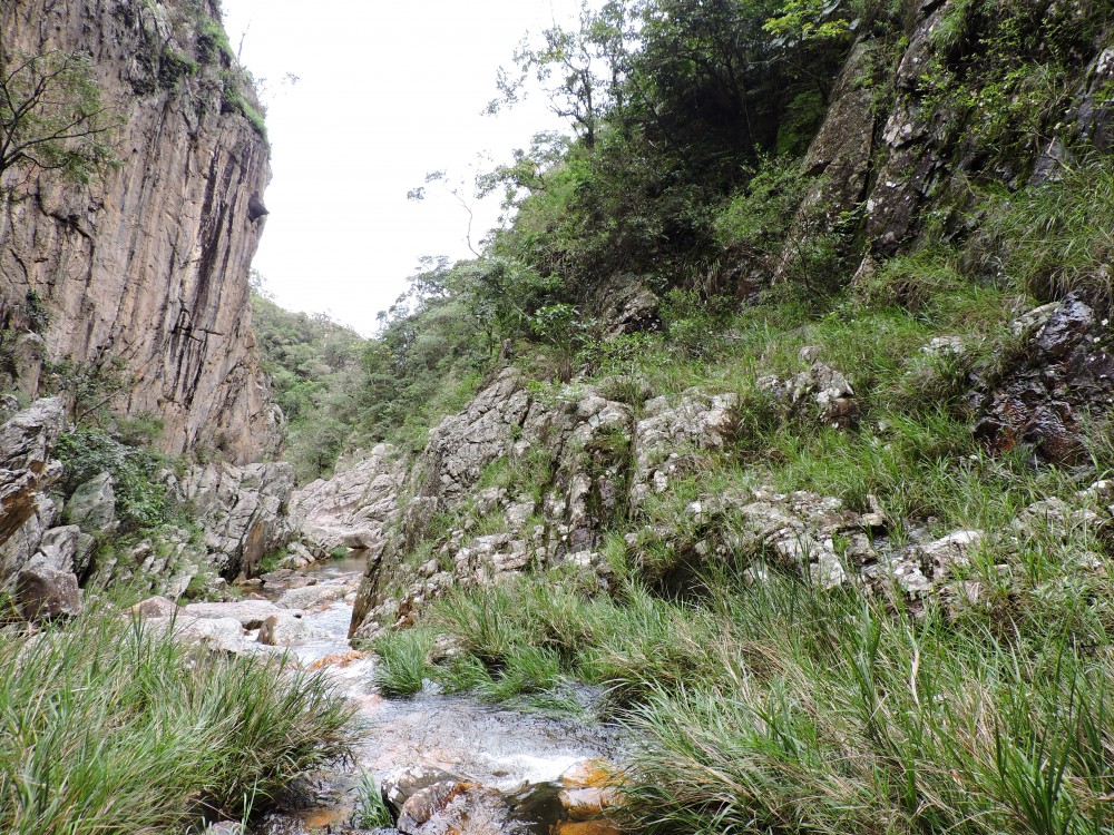 DSCN0362