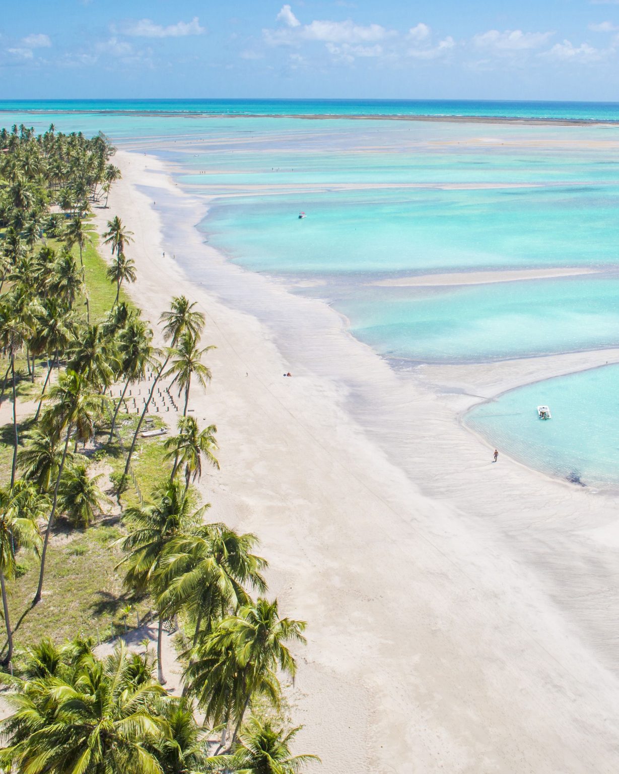Https://Www.Passagenspromo.Com.Br/Blog/Maragogi Conheca O Caribe Brasileiro/ - p12n0y2